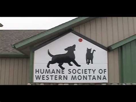 Missoula humane society - The Humane Society of Western Montana strives to be a resource for all things pet-related. Our tagline: Saving Every Animal Every Time is behind everything we do. From our admissions policy, to our FREE Behavior Helpline, to our Emergency Foster Program, we want to help people and their pets. Missoula, MT 59804-9291. Visit Their Website. How is ...